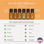 P&J Trading Fragrance Oils for Diffusers for Home Spice Set Fragrance Scents - Image 3