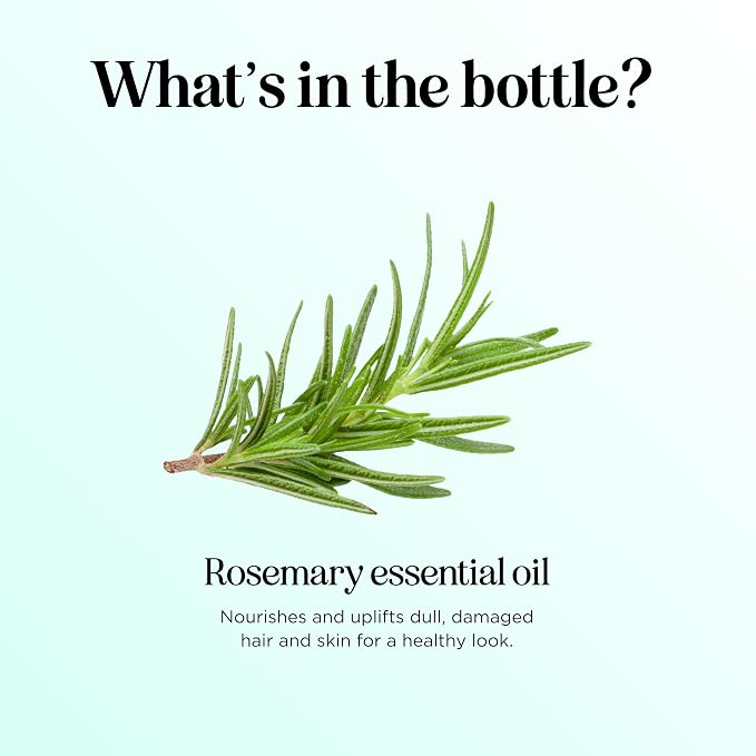 Pure Rosemary Essential Oil for Aromatherapy - Image 6