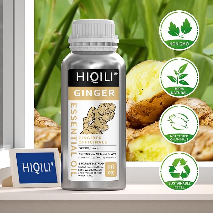 HIQILI 16 Fl Oz Ginger Oil, 100% Pure Natural Ginger Essential Oil - Image 5