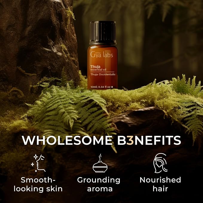 100% Pure Thuja Essential Oil - Image 5
