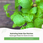 Oh K! Eye Mask - Ginseng and Eucalyptus - Hydrating Under Eye Patches - - Image 4