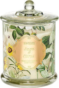 M&SENSE Sage Citrus Soy Candles, Natural Organic 2 Wick 12.7oz 75H Long Lasting by MSENSE