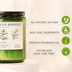Eucalyptus & Mint Candles for Home Scented, 40 Hours Burn Soy Candle Gift for - Image 3
