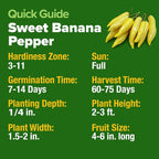 HOME GROWN Banana Pepper Seeds 94+ Heirloom Non GMO Seeds - Image 6