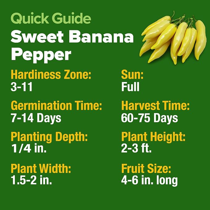 HOME GROWN Banana Pepper Seeds 94+ Heirloom Non GMO Seeds - Image 6