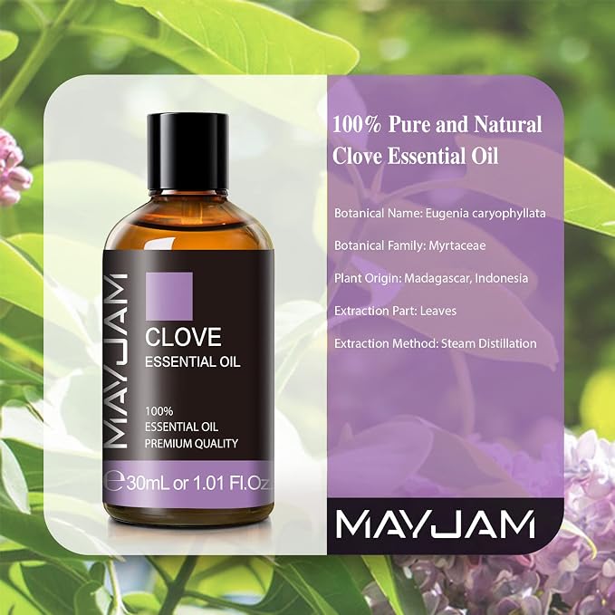 MAYJAM Clove Essential Oil, 1.01 FL.OZ Pure Essential Oils - Image 3