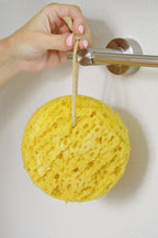 PARADISO Evriholder Sea Foam Body Sponge - Image 4