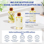 HIQILI 100ML Eucalyptus Essential Oil - Image 7