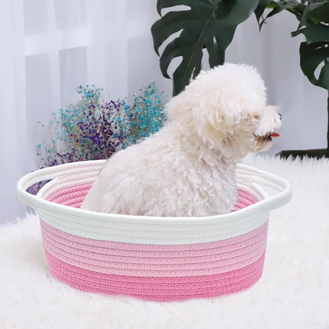 ABenkle Small Basket with Handles - Image 4