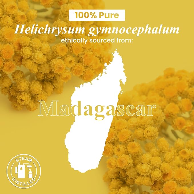 Handcraft Blends Helichrysum Essential Oil – 1 Fl Oz – 100% Pure and Natural – - Image 8