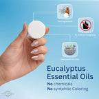 Eucalyptus & Mint Shower Steamers - Image 2