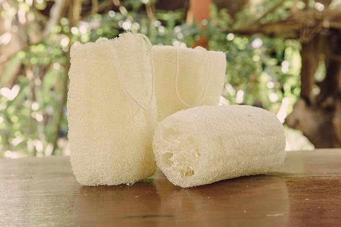 FAAY 4 Pcs Premium Natural Exfoliating Loofah Sponge: 6" Eco-friendly - Image 7