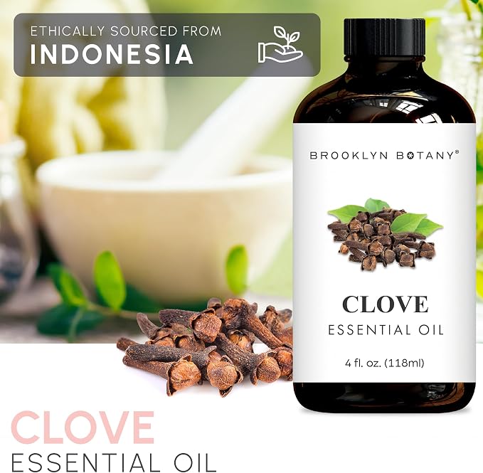 Brooklyn Botany Clove Essential Oil - Image 4
