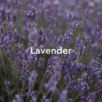 Kneipp Relaxing Lavender Aromatherapy Bubble Bath - Image 5