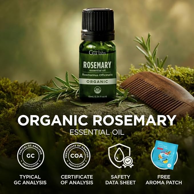 Gya Labs Organic Rosemary Essential Oil - Image 8