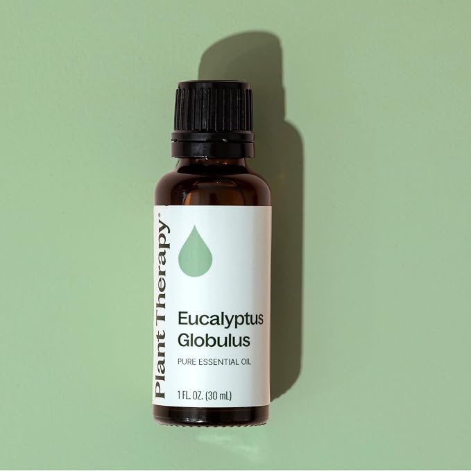 Plant Therapy Eucalyptus Globulus Essential Oil, 30 mL, - Image 6