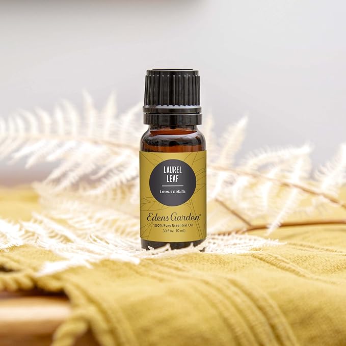 Edens Garden Laurel Leaf Essential Oil- 100% Pure Premium Grade, Therapeutic - Image 2