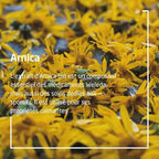 Weleda Arnica Massage Oil 3.4 Fl Oz - Image 5