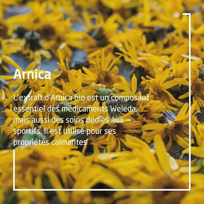 Weleda Arnica Massage Oil 3.4 Fl Oz - Image 5