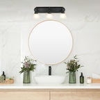Design House 589796 Millbridge Vanity Light Dimmable - Image 11