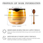 2 PCS Honey Lip Balm Pot, Honey Lip Mask, Hydrate & Moisturizing Skin Care - Image 2