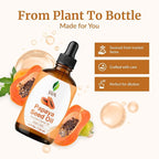 SVA Papaya Seed Oil - Image 4