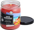 Tropical Fruit Odor Eliminating Highly Fragranced Candle - Image 3