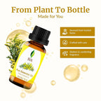 SVA Rue Essential Oil – 1/3 Fl Oz – 100% Natural Rue Oil - Image 4