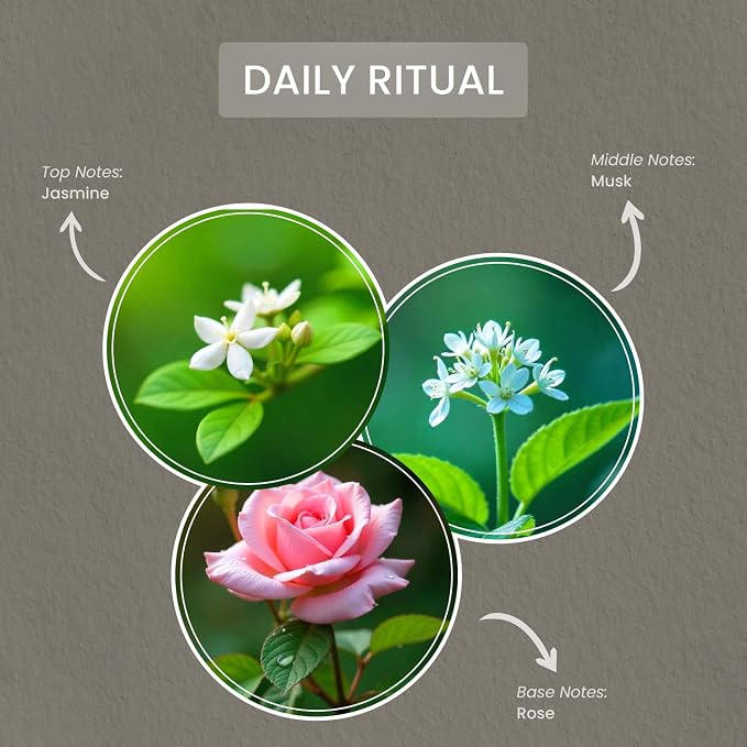 Carolina Daily Ritual Scented Candle, 16 oz Musk & Jasmine Scented, 2 Wick - Image 2