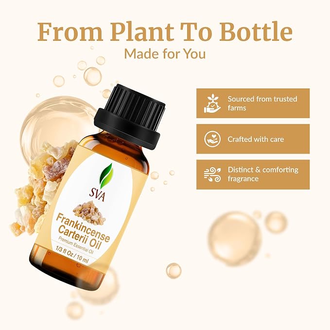 SVA Frankincense Essential Oil – 1/3 Fl Oz – 100% Natural Boswellia Carterii Oil - Image 4