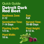 HOME GROWN Detroit Dark Red Beet Seeds 500+ Heirloom Non GMO Seeds - Image 5
