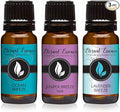 Trio - Ocean Breeze, Lavender Breeze & Juniper Breeze - Premium Fragrance Oil by EternalEssenceOils