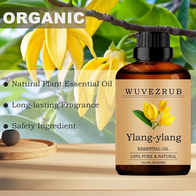 Ylang-Ylang Essential Oils, 240ML Pure and Natural Essential Oil - Image 4