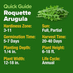 HOME GROWN Arugula Roquette Seeds 2, 175+ Heirloom Non-GMO Seeds - Image 4