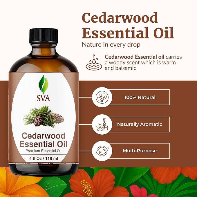 SVA Cedarwood Essential Oil – 4 Fl Oz – 100% Natural Cedar Cupressus Funebris - Image 2
