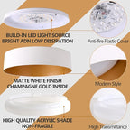 Bargeni LED Ceiling Light Fixture, 12.5 inch Flush Mount Light Fixture - Image 2