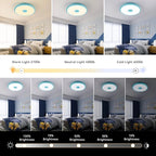 Sky Blue Waterproof LED Ceiling Light Fixture, Music Ceiling Lamp, - Image 4