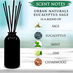 Urban Naturals Eucalyptus Sage Reed Diffuser Oil Gift Set | Eucalyptus - Image 3