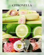 M&SENSE Citronella Candles Outdoor, 42 Hours Burn Natural Citronella Oil Soy - Image 2