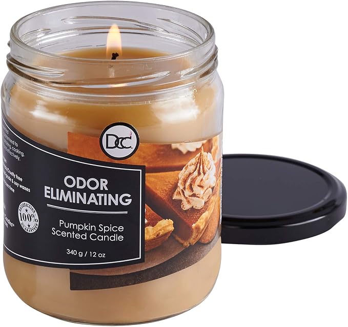 Pumpkin Spice Odor Eliminating Highly Fragranced Candle - Image 3