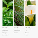 Aroma360 Room Spray - Image 4