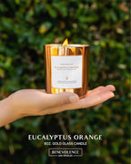 Benevolence LA Eucalyptus Orange Wood Wick Candles | Soy Christmas Scented - Image 2