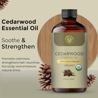Organic Cedarwood Essential Oil 50ml : 100% Pure & Natural Cedarwood Oil - Image 3