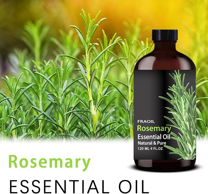 Rosemary Essential Oil, Rosemary Oil 4 Fl Oz 120ML - Image 2