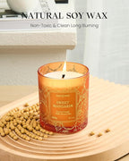 M&SENSE Sweet Mandarian Scented Vegan Soy Candles, No Toxin Refreshing Fragrance - Image 2