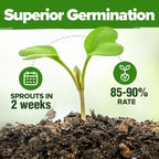 HOME GROWN 25 Herb Seeds for Planting 8, 700+ Non-GMO Heirloom Seeds | Extra - Image 5