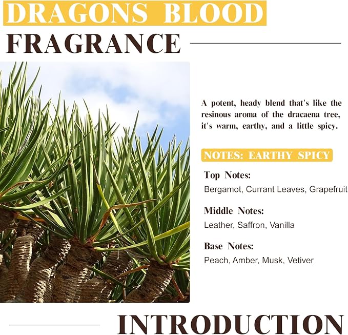 EUQEE Dragons Blood Fragrance Oils, 60ml Scent Essential Oils - Image 3