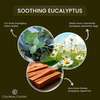 Colonial Candle Soothing Eucalyptus Scented Candle Jar, Highly Fragranced - Image 2