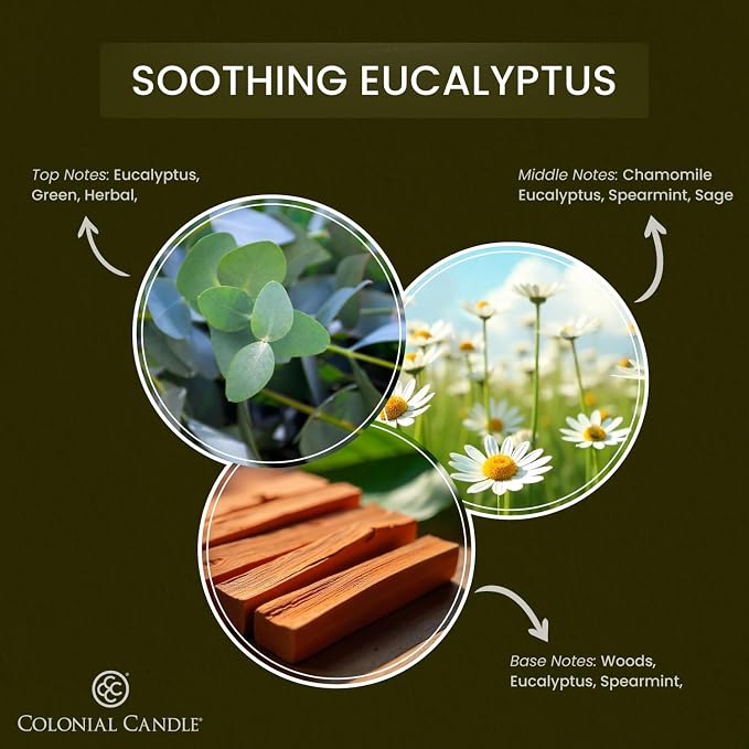 Colonial Candle Soothing Eucalyptus Scented Candle Jar, Highly Fragranced - Image 2