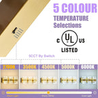 Modern LED Bathroom Light Fixtures Dimmable 3-Light Gold Vanity Light, 5CCT - Image 3